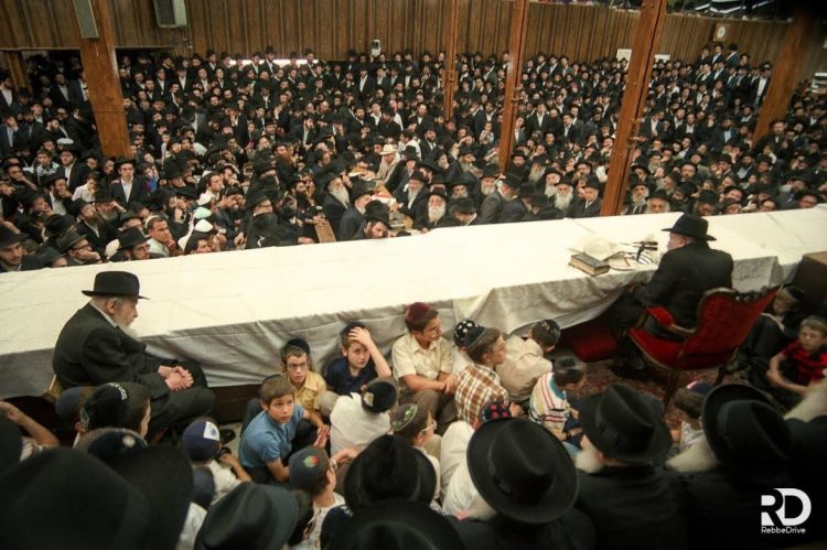 רעיון לפרשת שלח: לבצע את מטרת השליחות